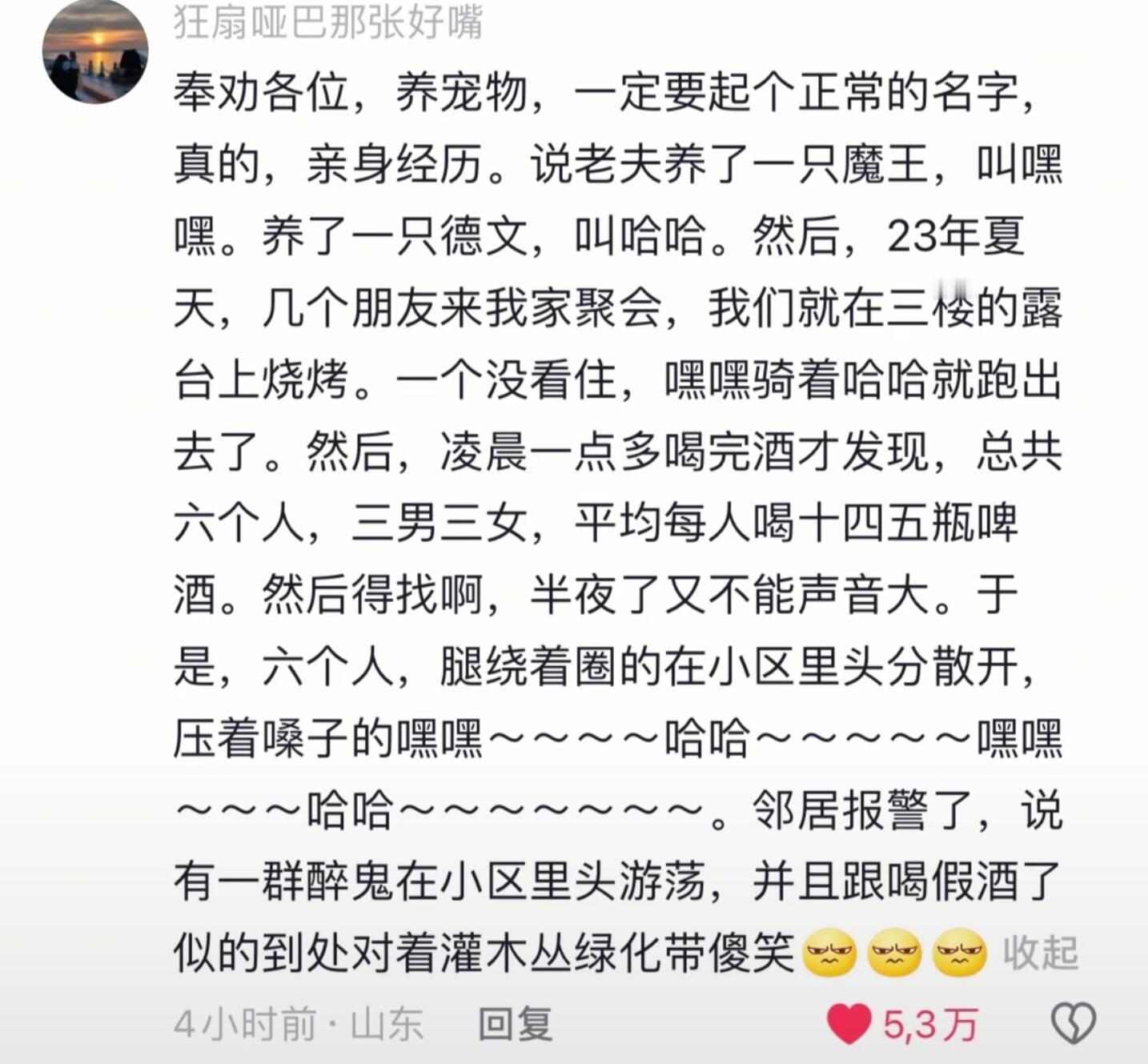 一定要给宠物起个正常名字，不然就会。。