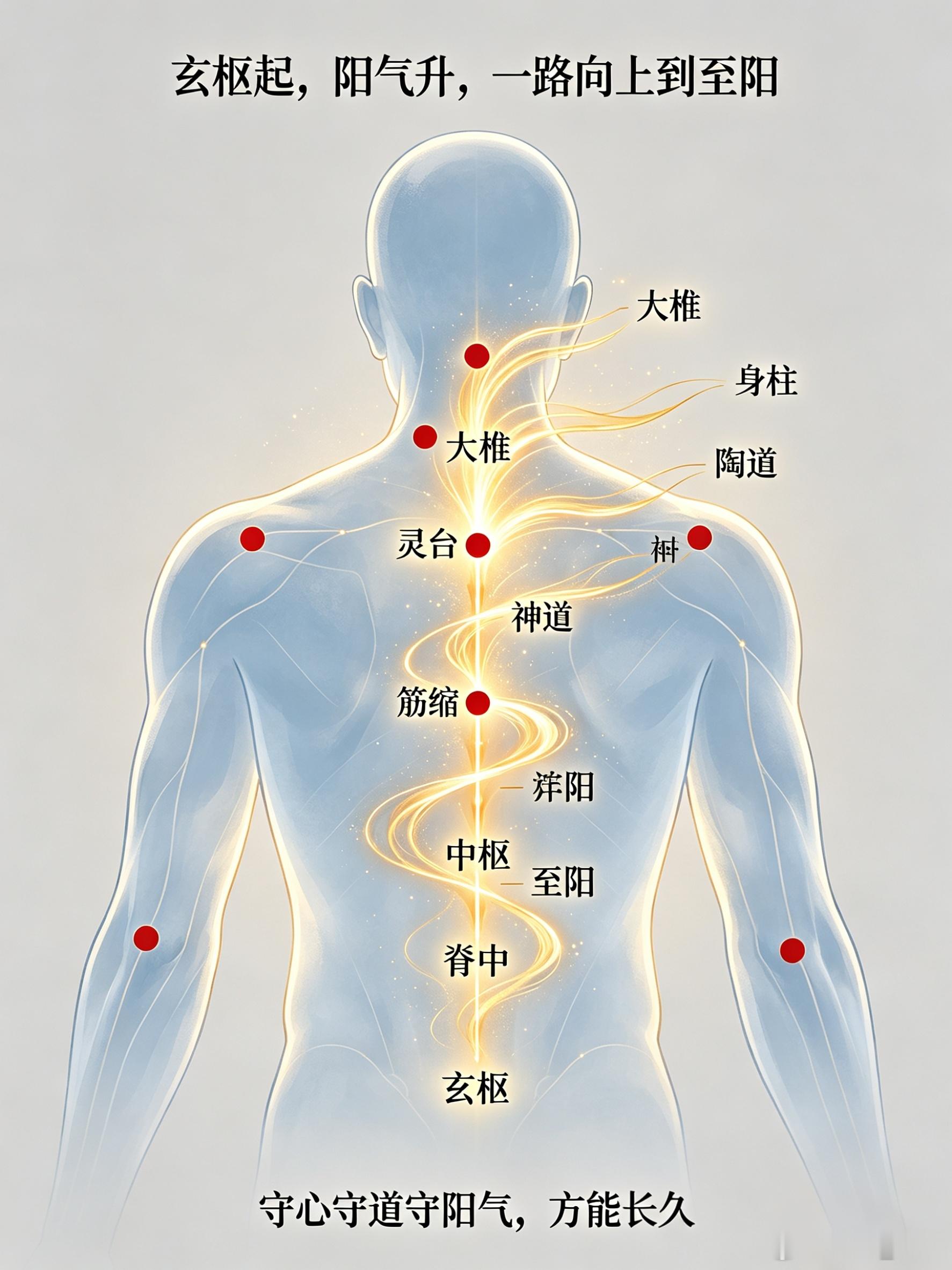 🌿玄枢起·阳气的根基玄枢，藏于腰间，是腰脊转动的关键枢纽。这里就像人体的
