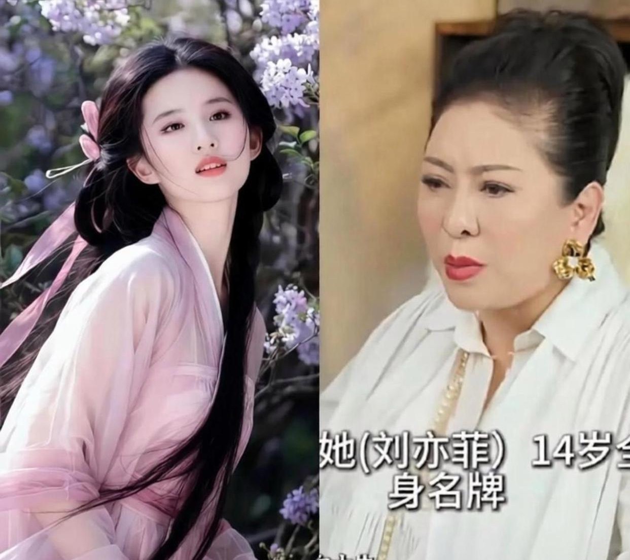 向太在节目里说：“刘亦菲在14岁时候，就被她妈妈带来见我了！但我当时没有签她，因为她浑身名牌，张口就