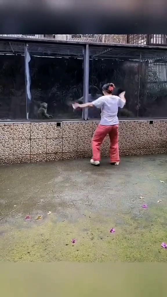 如果不是亲眼所见我是万万不敢相信。