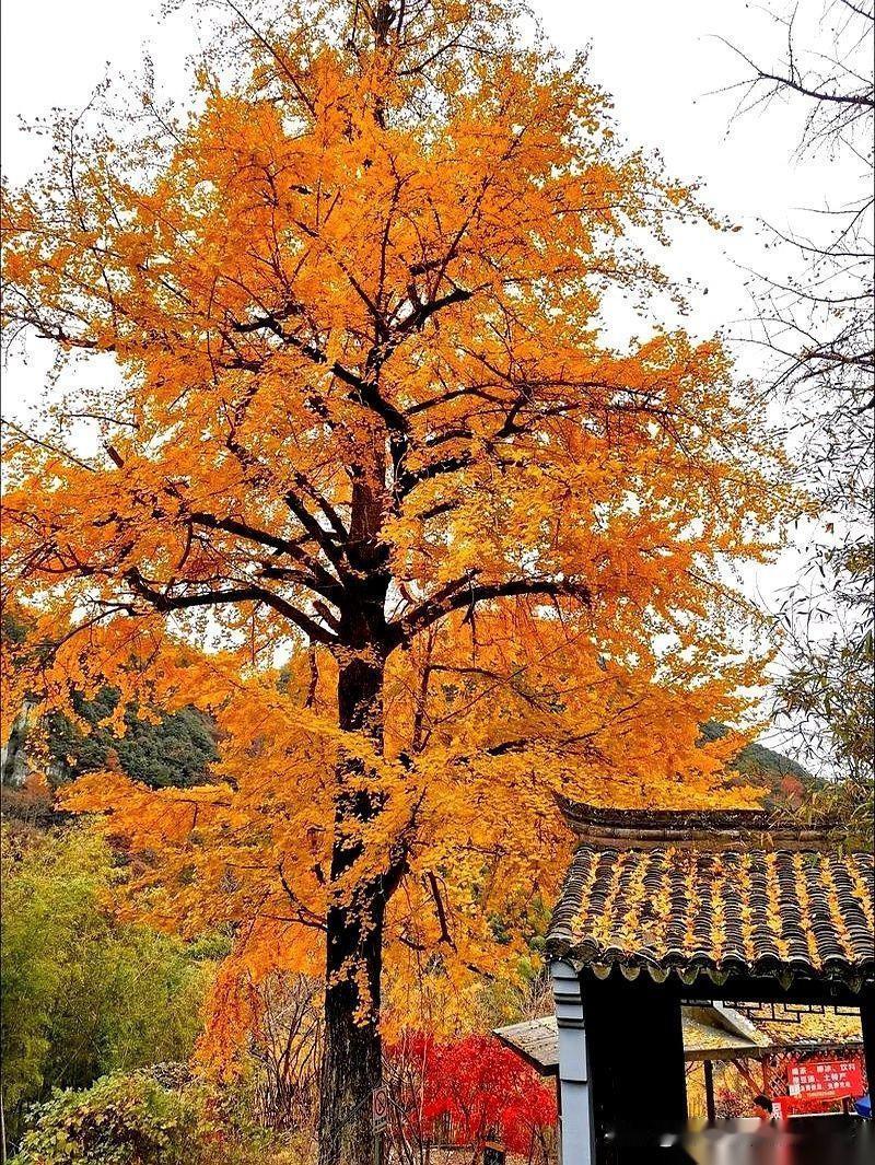 一个90岁的老太太，一句话把养老的遮羞布给扯了。她说，别听人瞎扯，说什么老了