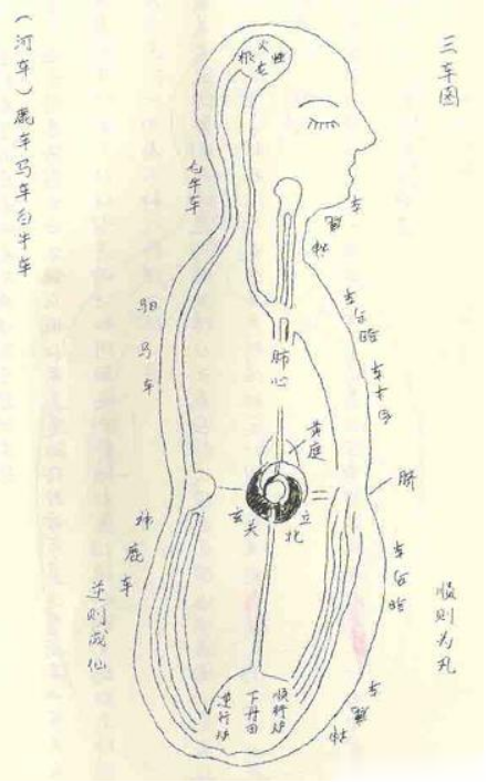 薛颠的“神奇呼吸七法”