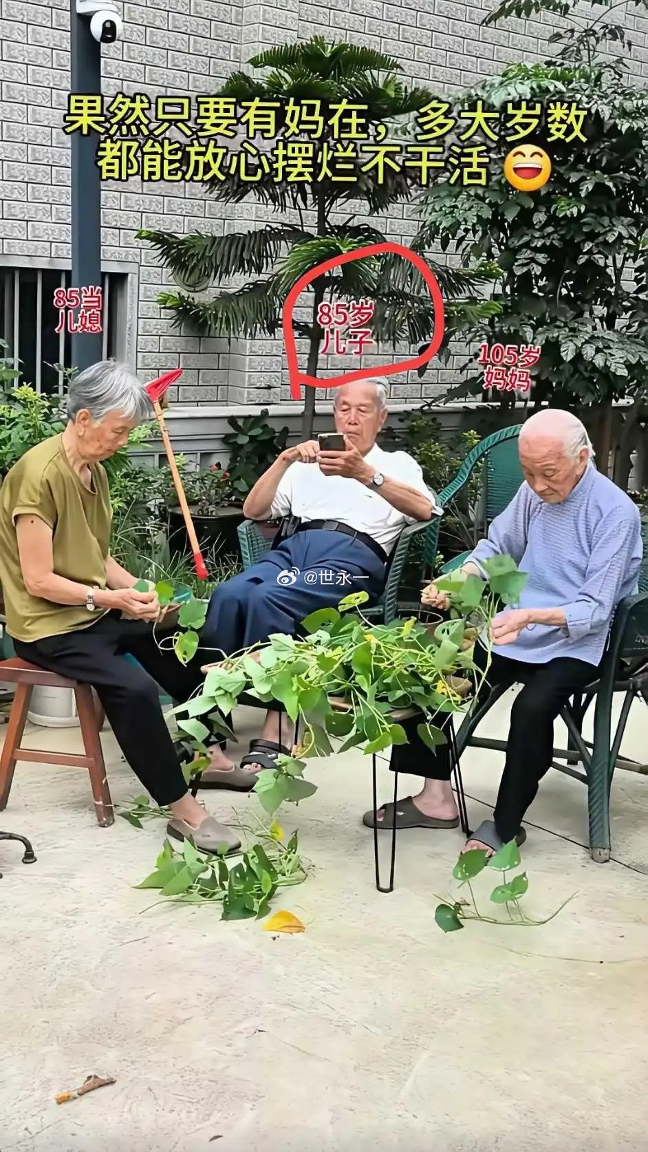 这是啃老的最高境界吧​​​
