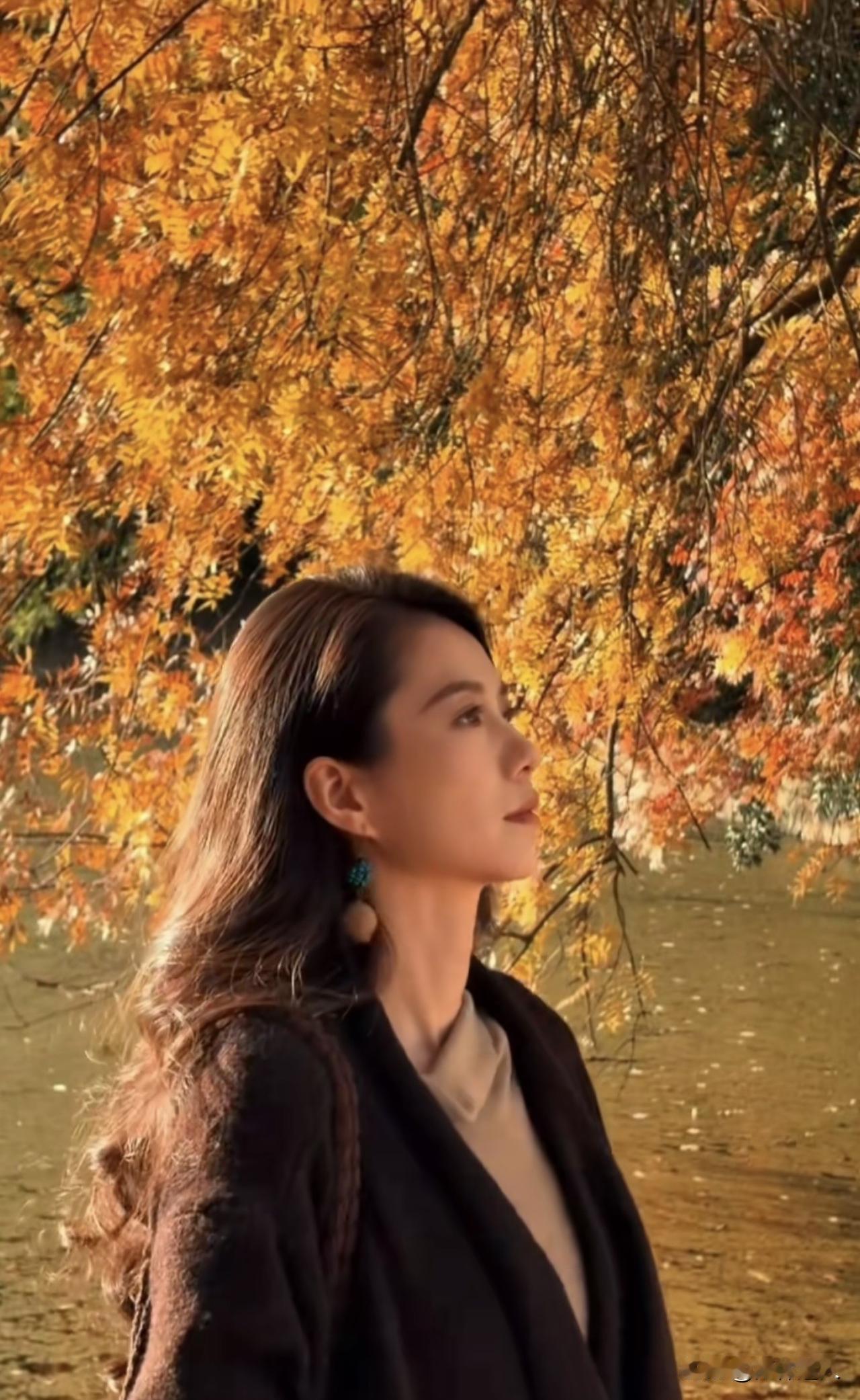 新思维：别让他人的嘴脸，消耗你的人生今天，睡前最后一篇新思维。行走世间，