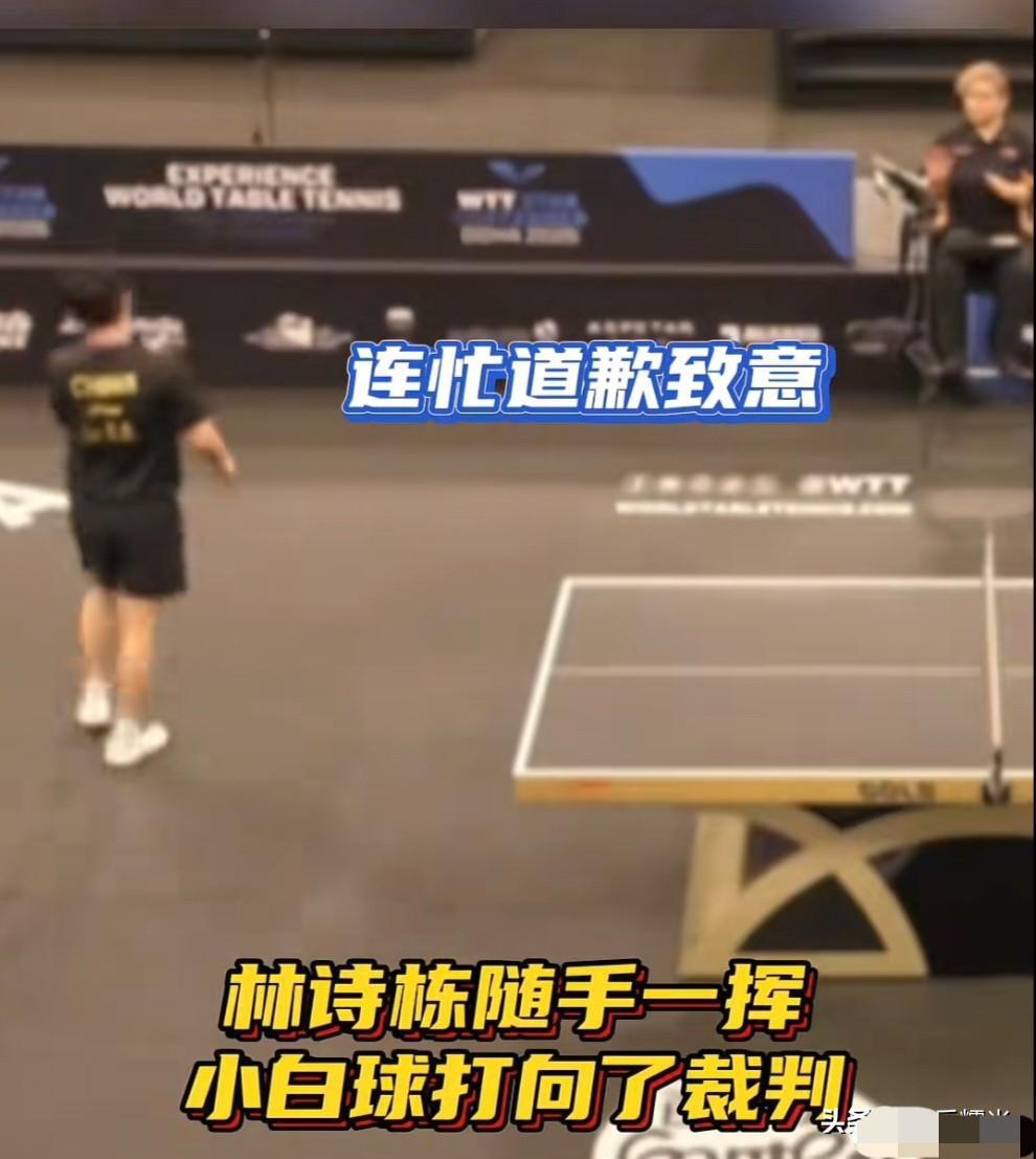 林诗栋这小子，没了王皓指导在旁边压阵，直接打疯了！带着伤上场还3-1拿下朴康贤，