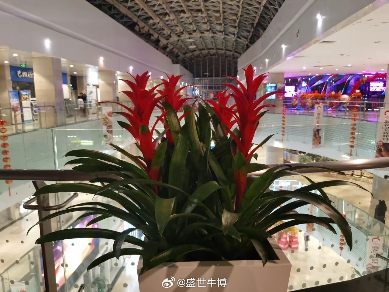 股市里，拼到最后其实拼的是“人性”炒股看着就是买和卖，表面简单，其实拼的全是自己