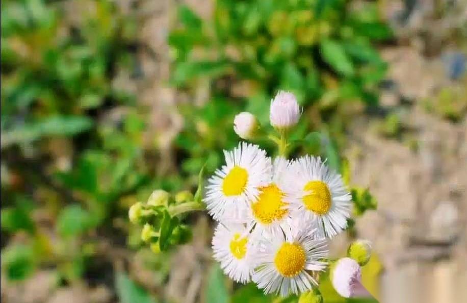 我一个朋友,高考数学138分,进了清华数学系。我们都以为他去了,怎么着也得是人
