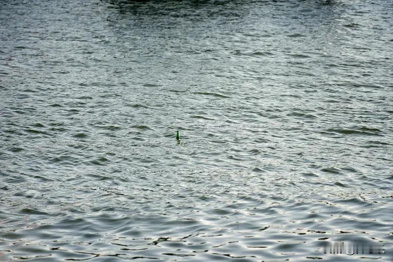 江边钓鱼的老头钓的不是鱼，是那个坐得住的自己。一、浮漂不动的时候，才是真正开