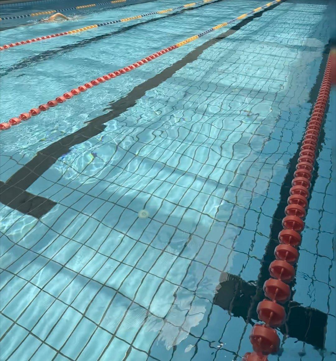 天气热的，适合游泳🏊♂️周末就是要好好放松运动外汇黄金黄金分析师日常