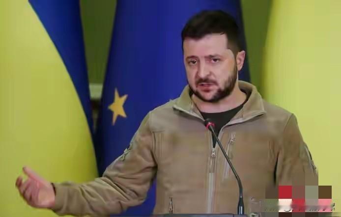 泽连斯基是个奇才!昨天他向欧洲请求援助时说:“我再次强调,你们必须能够证明,在一