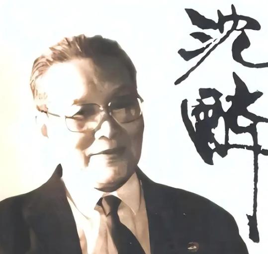 1960年，一个特务在监狱里思念妻子11年，释放之后马上奔赴见面，没想到，刚见面