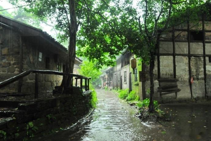 夏天，就要去满目青翠的避暑地～