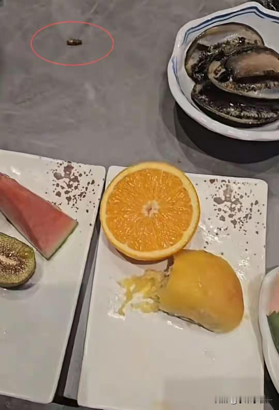 山东济南，女子和朋友去399元/位的自助餐厅吃饭，却在餐桌上发现活蟑螂。餐厅道歉