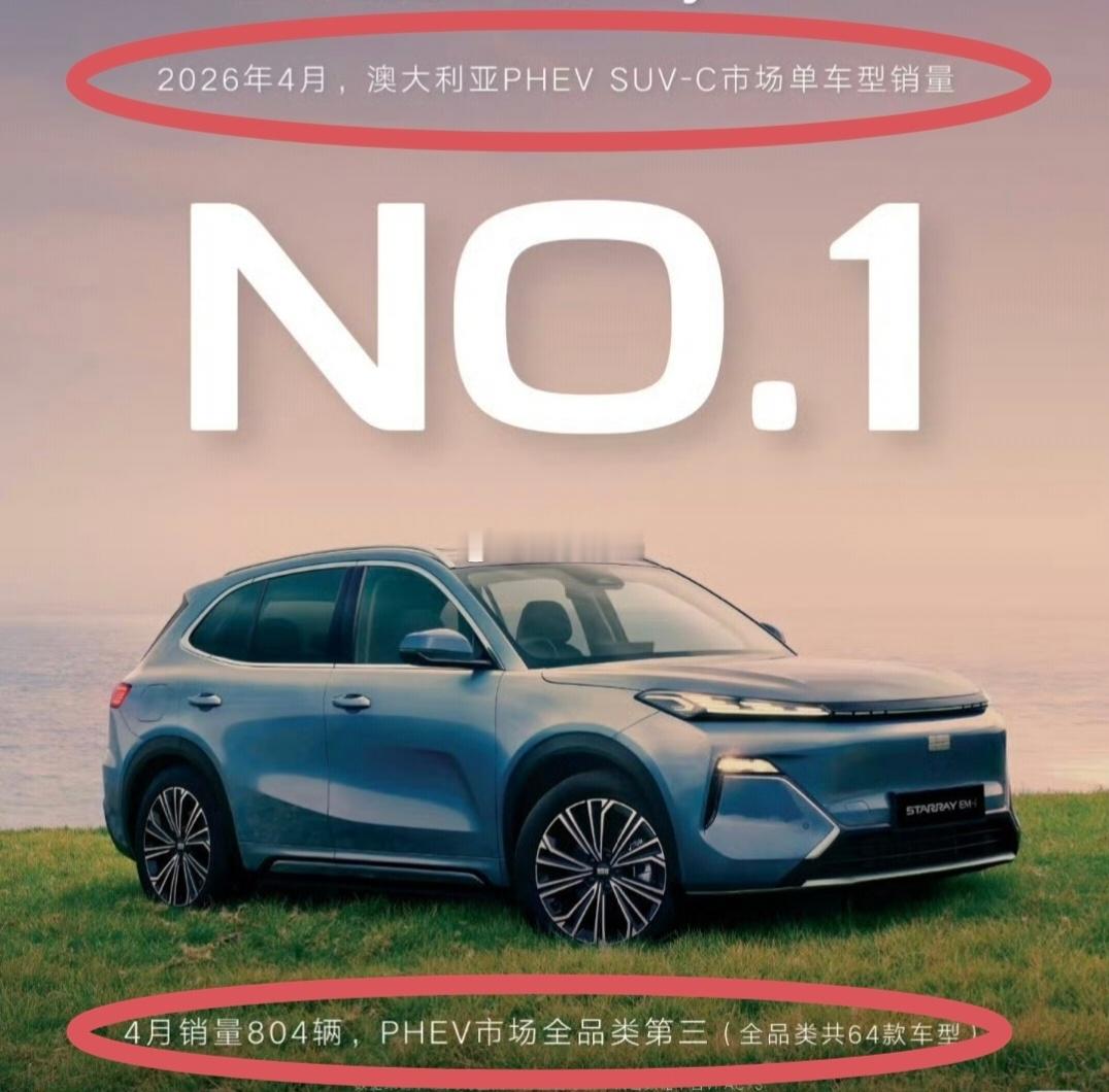 大家看到No.1以为夺冠了吧？但是一看小字，原来是细分市场。再看备注，放到
