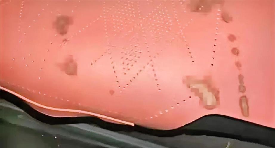 “太恶心了！”天津，网约车司机送完一对年轻男女后，往后座一看，竟发现后排坐垫上糊