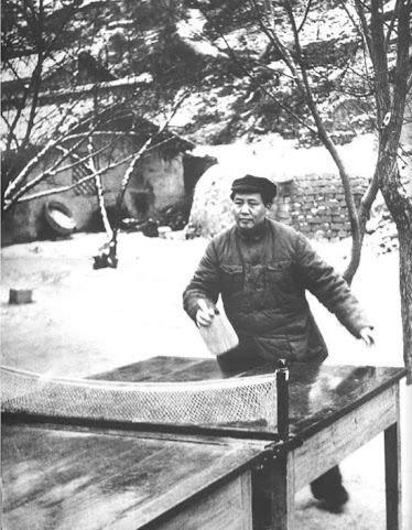 这个板，真方正，一看就很难用。日式直板，便于中远台发力打弧旋球，教员站位