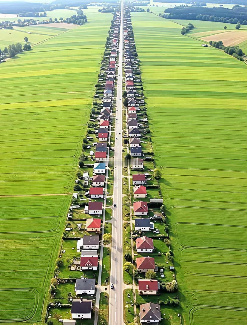 网友：新农村都这样设计就好了