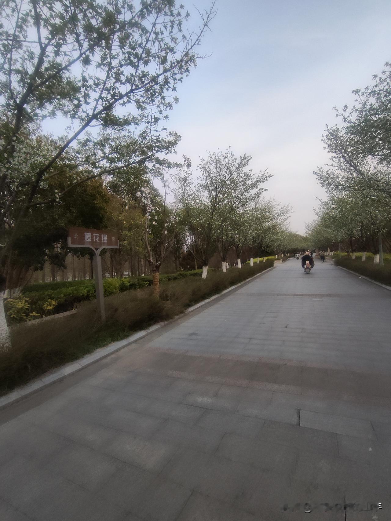 进入高中，各学科最容易陷入的学习误区！误区一：英语是单纯比拼投入度的学科，只要
