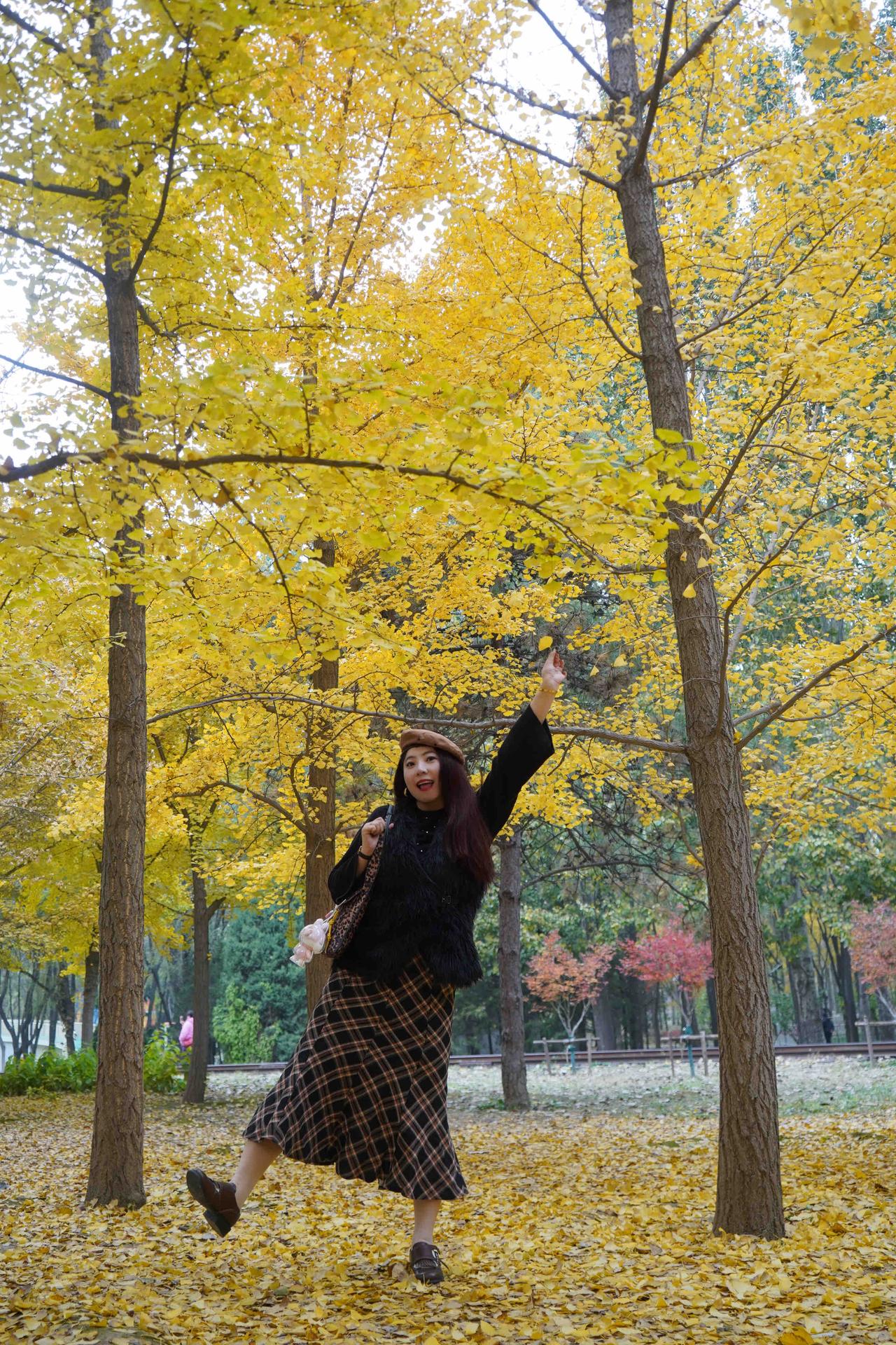 北京将府公园秋色渐浓，开启一场秋日漫游～在将府公园：荒芜的铁轨枕着厚厚的落叶