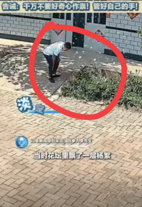 家人们千万别手欠！河北沧州一大哥在自家院子抽烟，瞅着地上白花花的杨絮犯了迷糊，烟