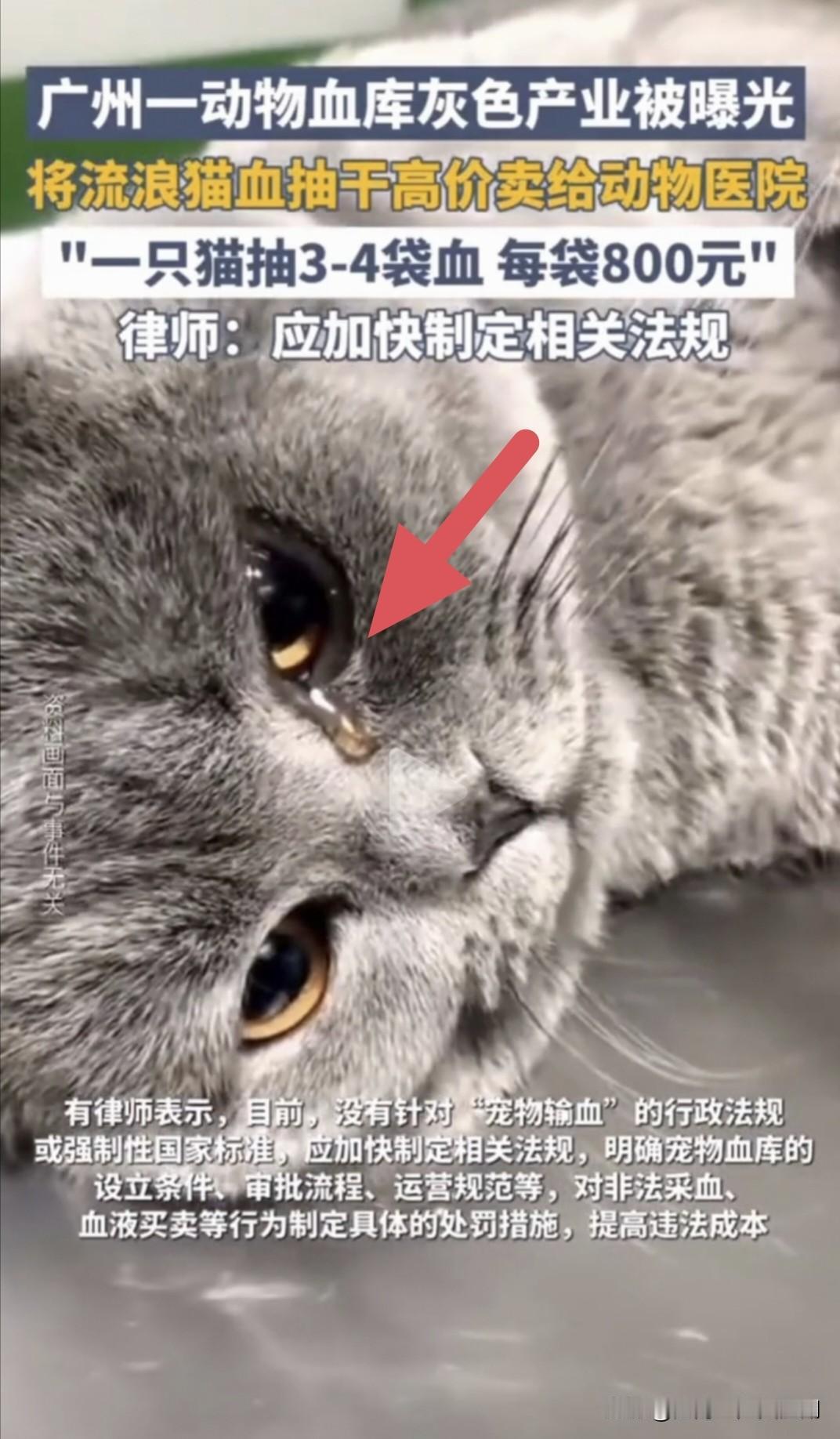 这新闻看了让我毛骨悚然，再次刷新了我对人性的认知。原来在巨大的金钱利益诱惑面