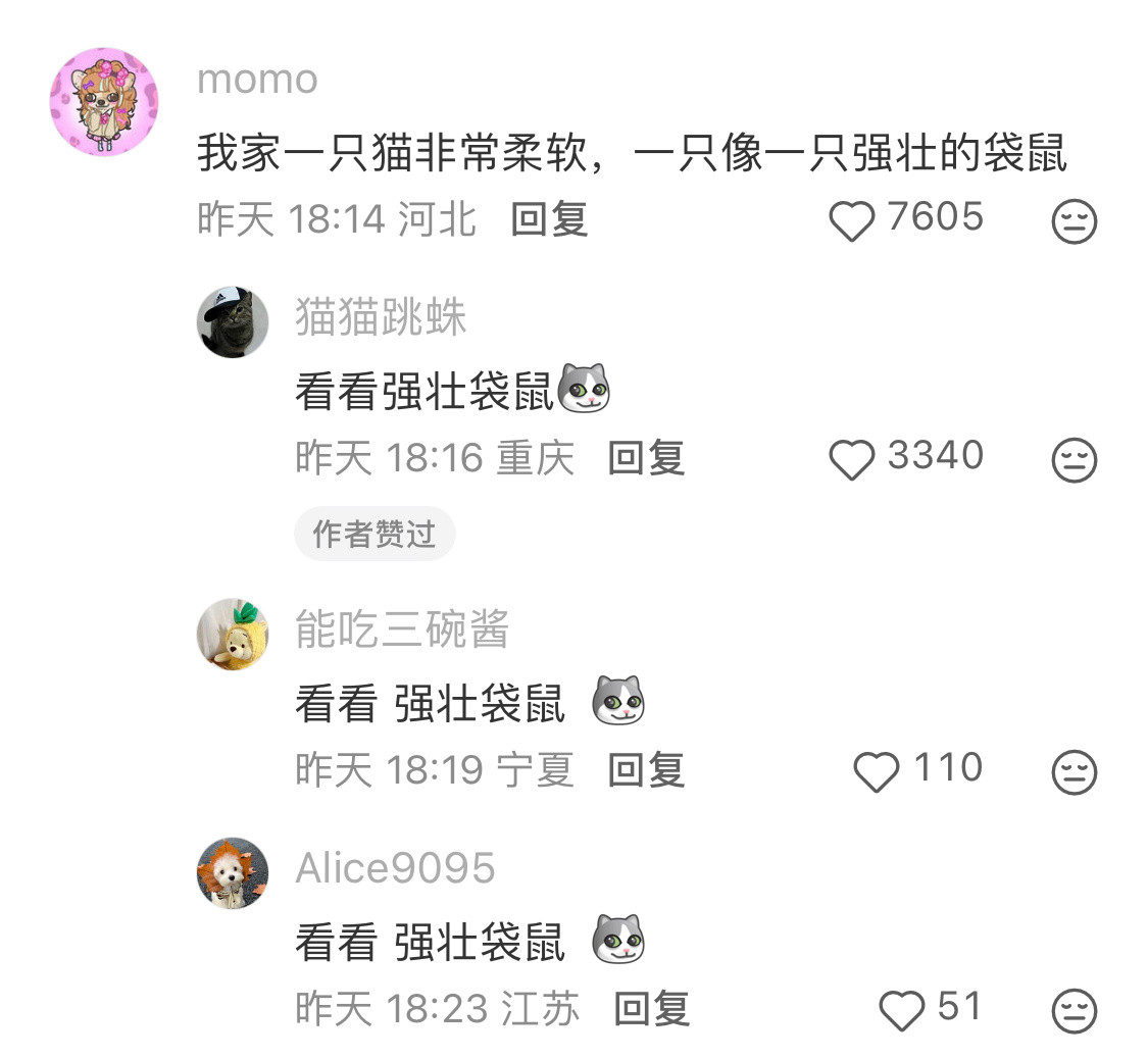 猫给不给抱一摸身体就知道​​​