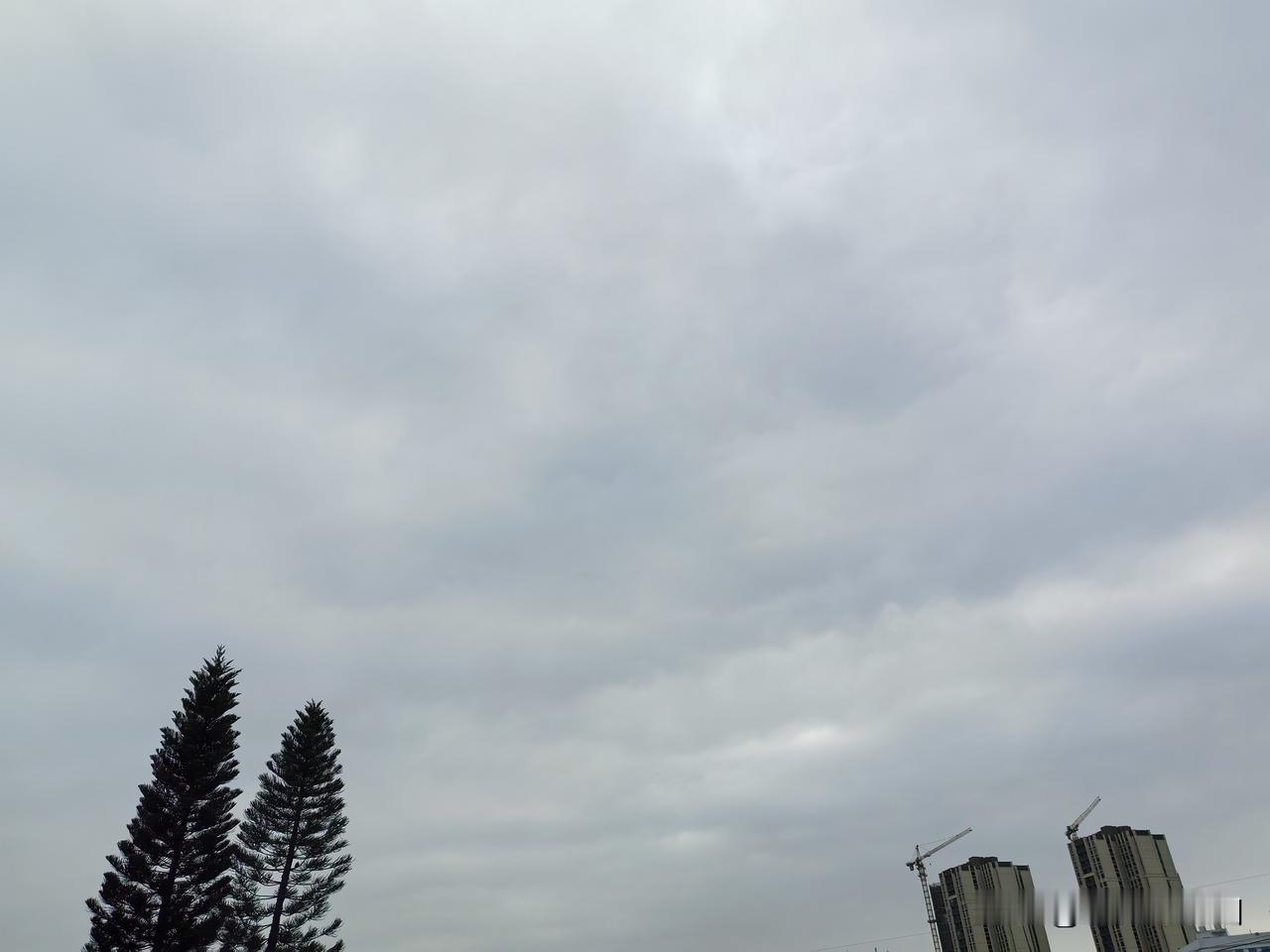 广东气温回暖正在进行中！未来几天气温是回升的趋势，广东大部分市县最高气温将逐渐回