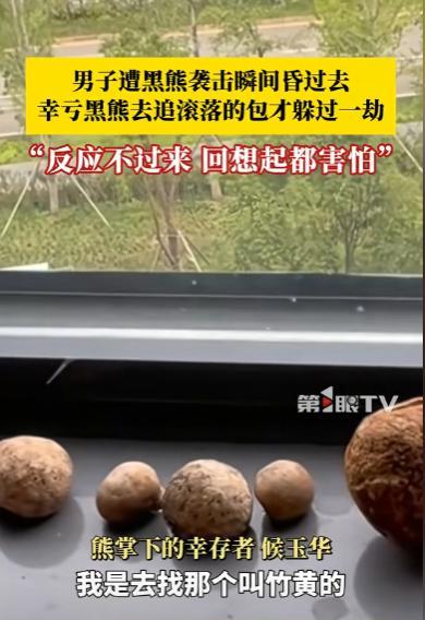 “这就是命啊！”近日，云南丽江，一男子上山采药，结果撞到了一头500斤的黑熊，男