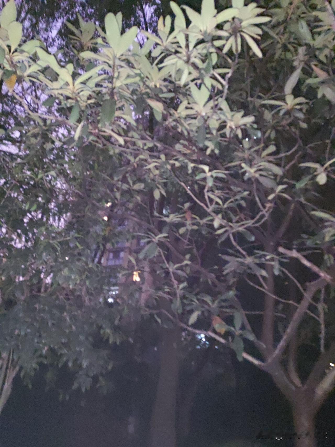 出轨这事儿，如今越来越常见，可这绝不是什么正常现象。三十年前，出轨那可是让人抬不