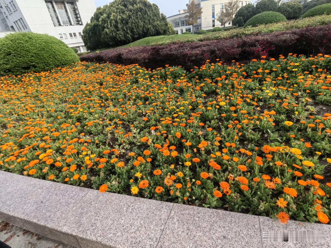 复旦副教授“跨界”的闹剧事件，折射出的是中小学教师最真实的生存地狱——【零成本举