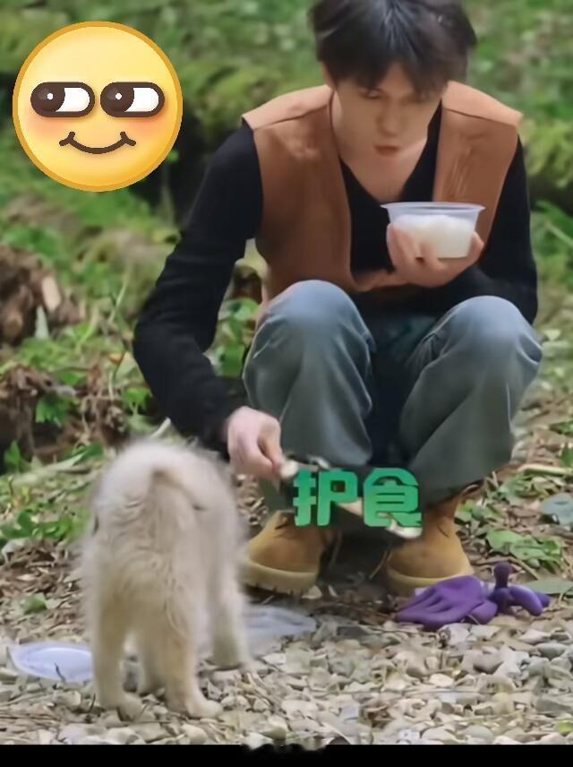 十个勤天小狗护食真的给我笑麻了哈哈哈哈哈哈哈救命，怎么那么可爱十个勤天‖种地吧