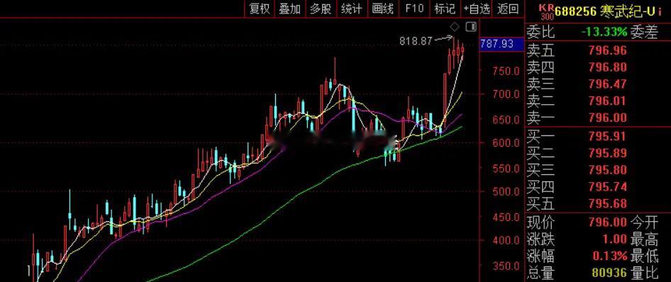 今晚寒武纪出了业绩预告，2024年净亏损4.43亿元。但按单季度算，公司四季度实