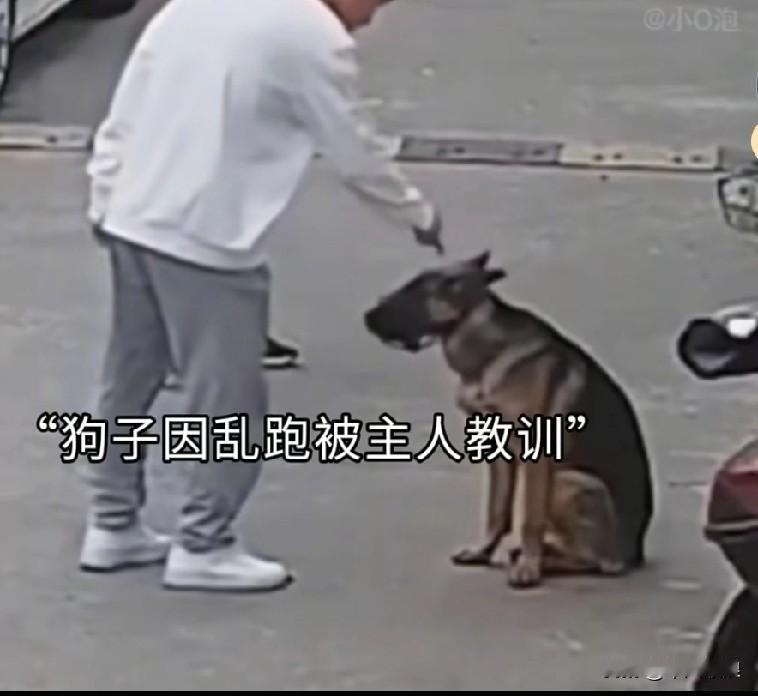狗狗去抢小孩手中的面包吃，被主人恶狠狠地责骂。小主人看见了，当即跪下，哀求爸爸：