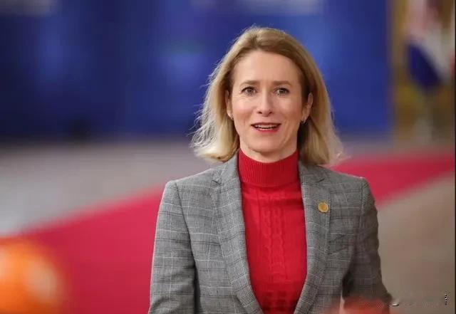 “欧盟外长放狠话单挑三巨头，欧洲真成餐桌上的菜了？”布鲁塞尔深夜的办公室里