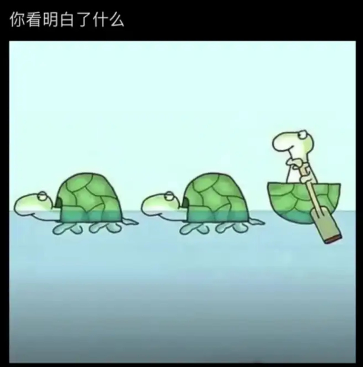 你看明白了什么​​​