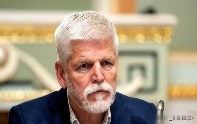 捷克总统帕维尔，当着乌克兰总统泽连斯基的面，话不多。捷克总统一句话，先让全场