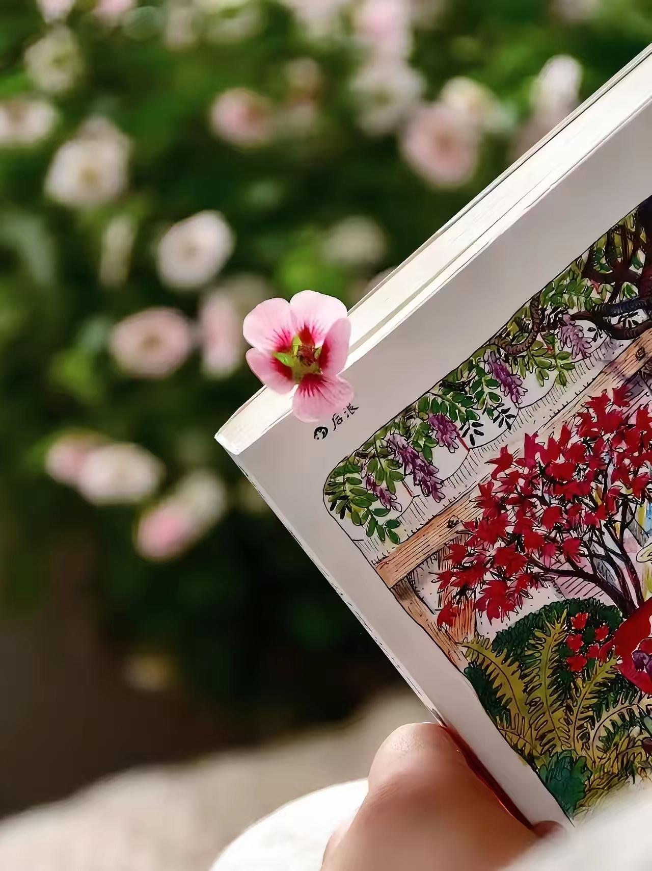 网络上有这样一段话：“一个男人只要克服了性欲带来的执念，就会发现95%的女人，根