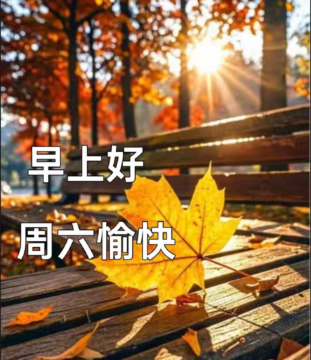 ☀️周六早安！世间最好的早安，从不是华丽的辞藻，而是一份简简单单的惦记。