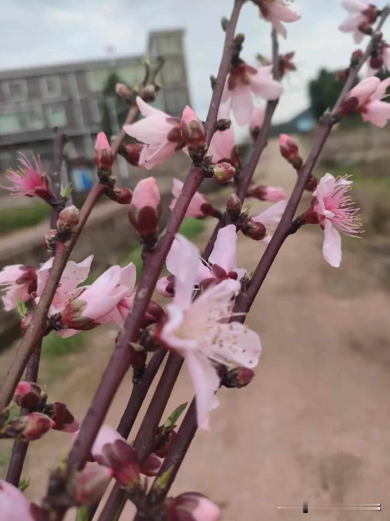 发小年轻时不想打工，她说不想被人管着，不想加班加点，所以她从来没上过班，在家打了