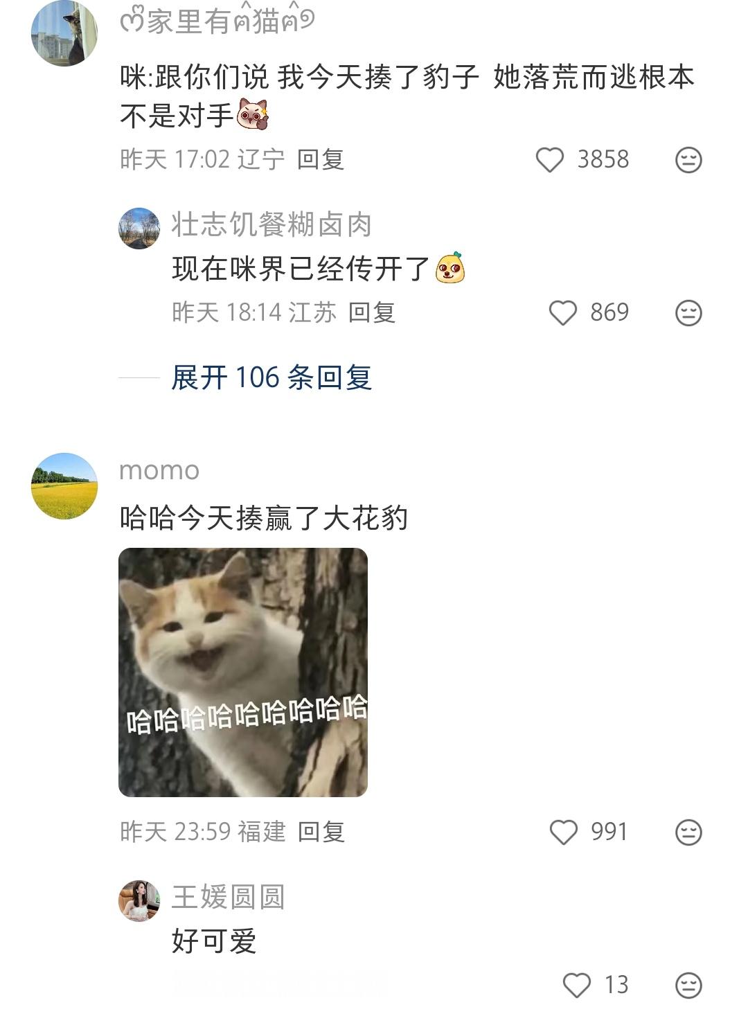 小猫跟别的小猫吹牛，那天我在路上遇到了豹子，上去邦邦就是两拳