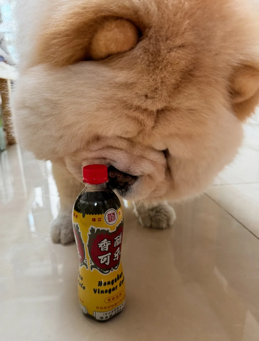 酸醋可乐 我得好好帮麻麻闻一下