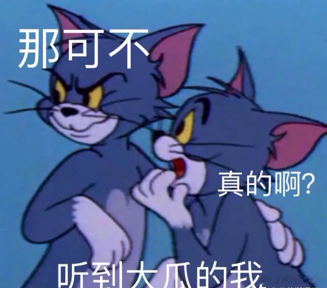 1.大提琴家特别想脱离原生家庭，家人总把她当成获取利益的工具，姐妹之间也满是算计