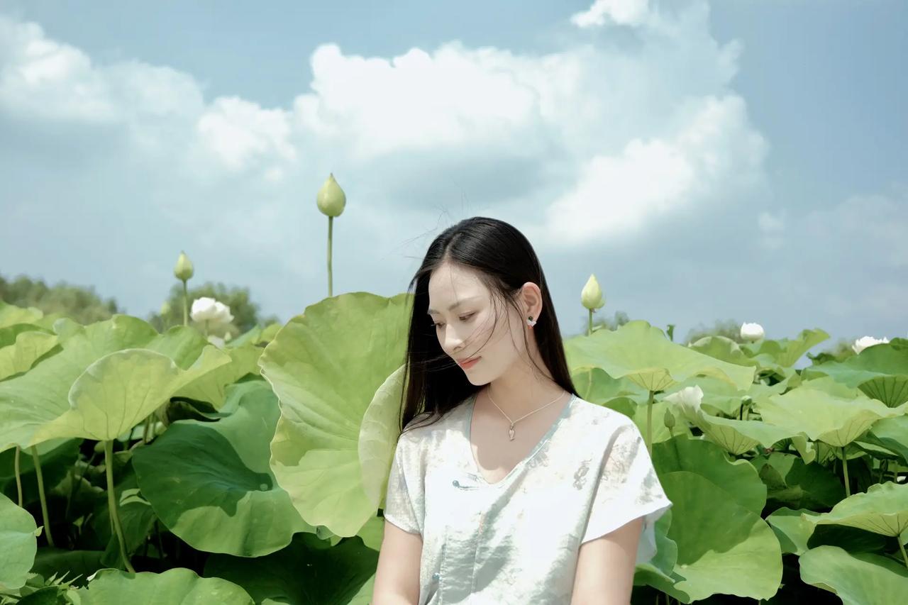夏日荷塘，少女静坐，清风拂面，心旷神怡。
