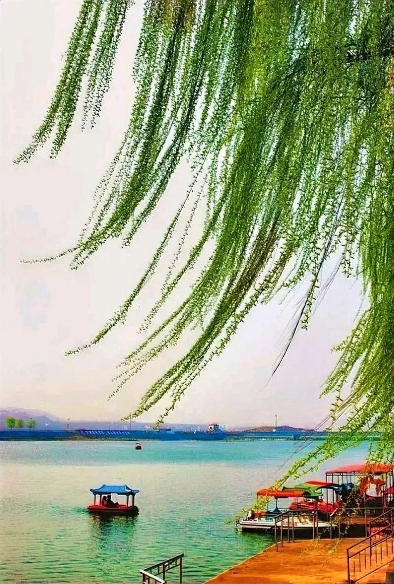 上联：月下露濡花下联：水畔风扶柳