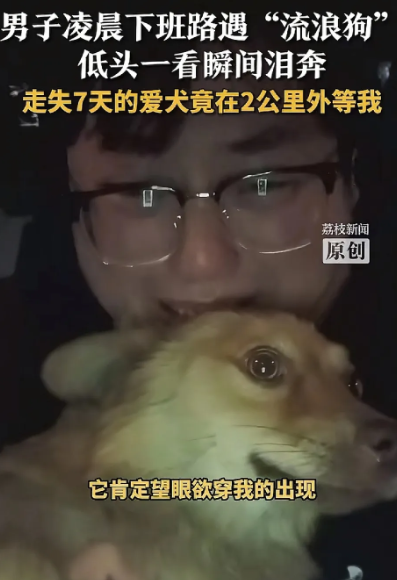 双相奔赴的泪光：流浪狗蹲守两公里，夜灯下等来迟归的主人