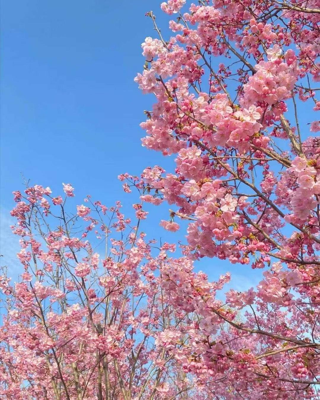 对比一下10年上证和道琼斯的变化！10年前上证5000点，道琼斯1600