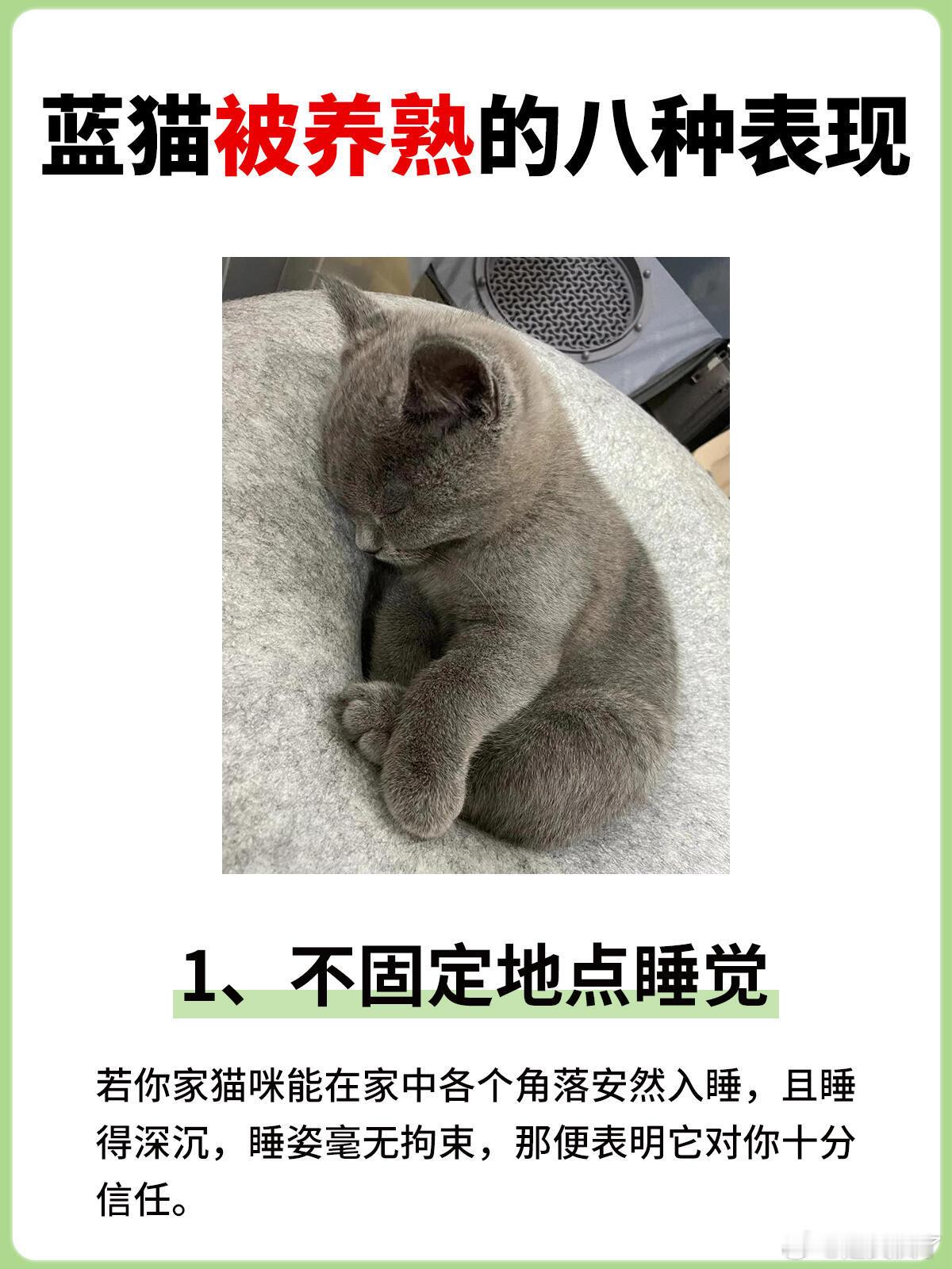 猫咪被养熟的8种表现猫咪一般是高冷型的，但一旦它把你当成自己人，你会看到这