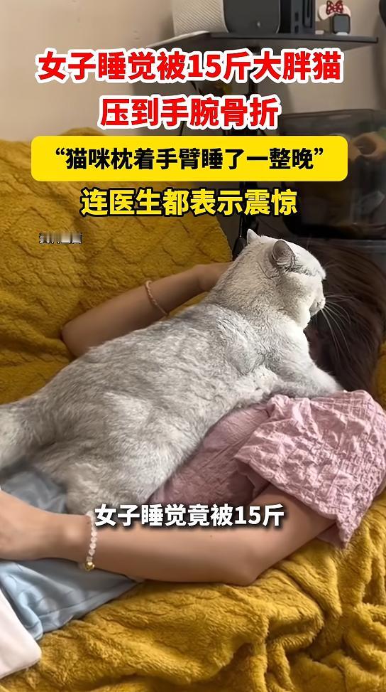 “万万没想到！”近日，江苏无锡，一女子养了只猫，体重有15斤，前段时间，她家猫咪