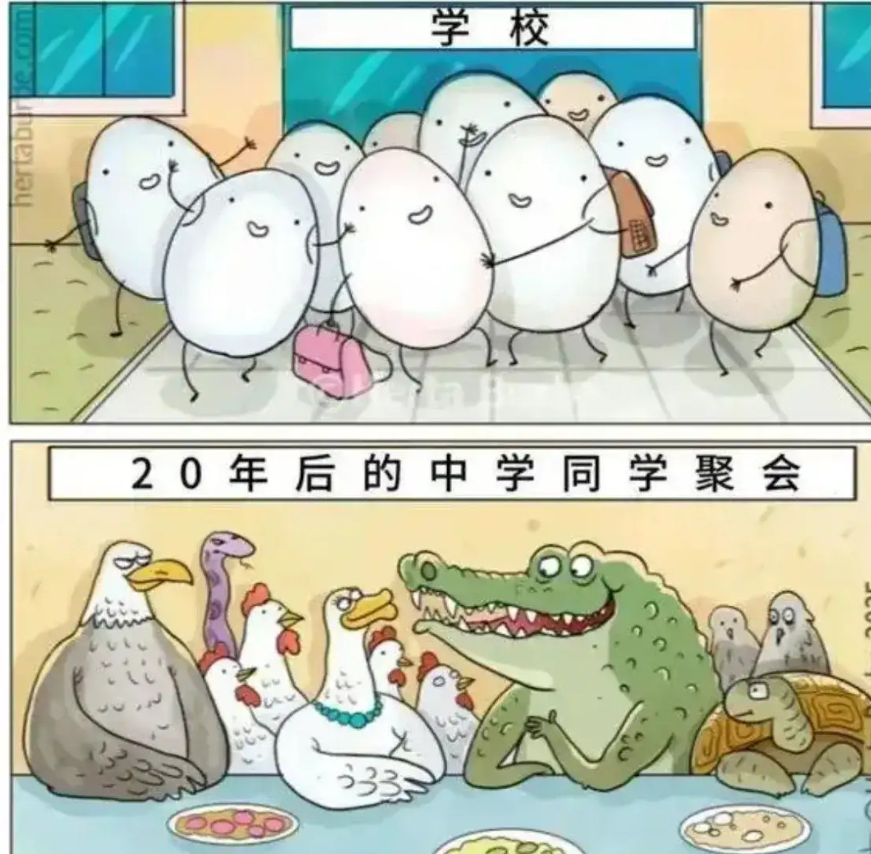这告诉我们什么道理？​​​