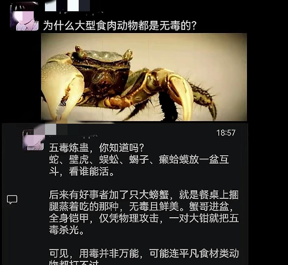 强者从不靠毒，不是不能，是不屑。用阴招的人，赢了也矮一截。江湖上混，靠的是硬